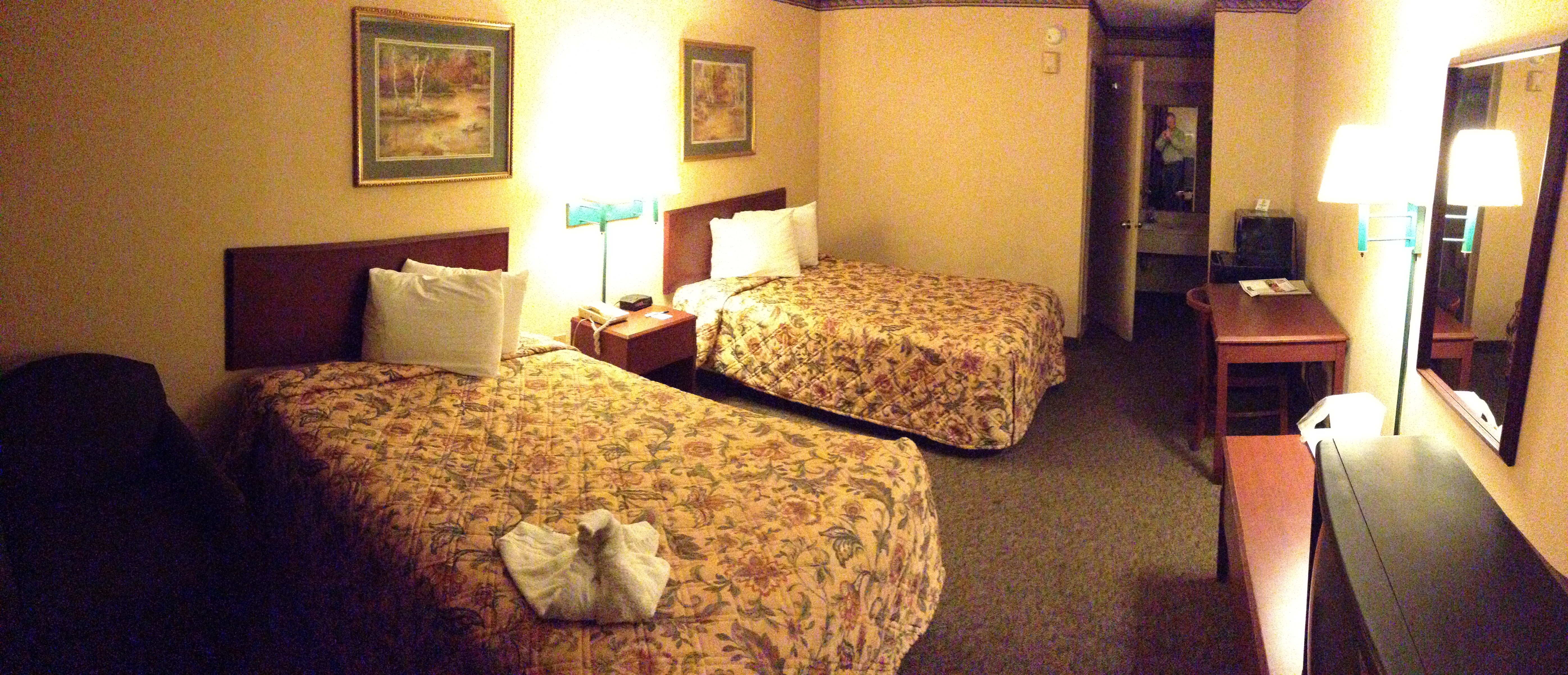 Cockroaches at the Travelodge on McCoy Road in Orlando!