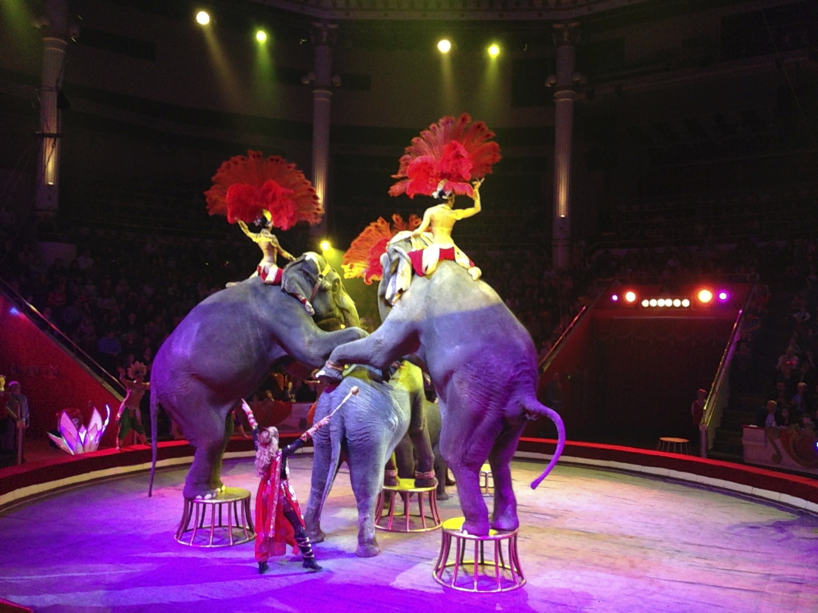 The famous Moscow Circus.