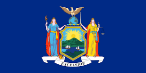 NEW YORK FLAG