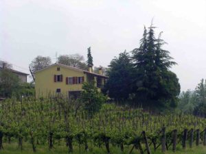 italian winery