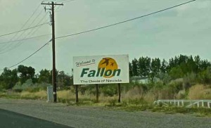fallon city sign