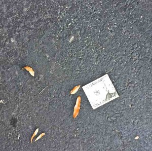$20 bill on ground