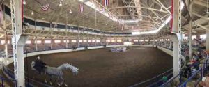 illinois state fair horse show