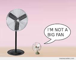 not a big fan