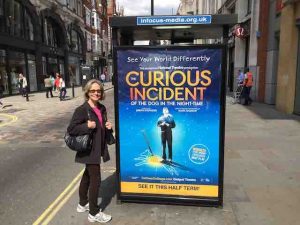 london theatre curious incident