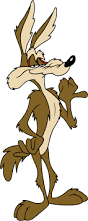 wily-coyote-1