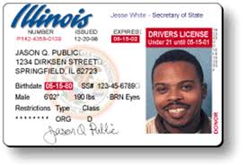 drivers-license-2