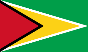 guyana flag